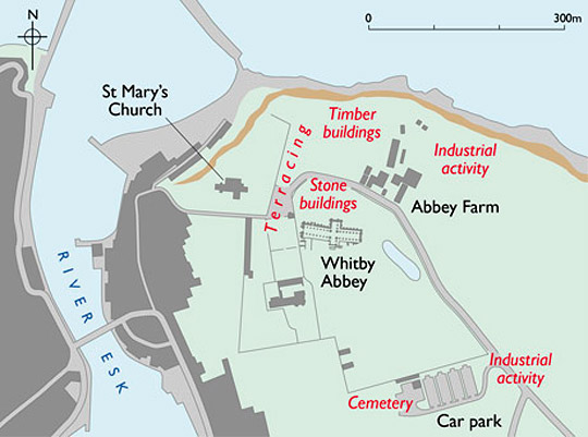 A map of Whitby headland showing Whitby Abbey and Anglian features found by excavation A map of Whitby headland showing Whitby Abbey and Anglian features found by excavation