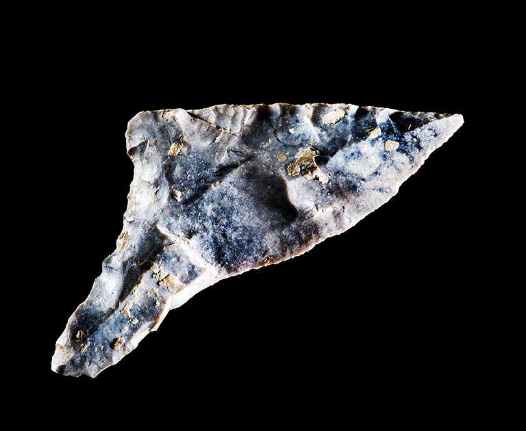 Oblique arrowhead Oblique arrowhead