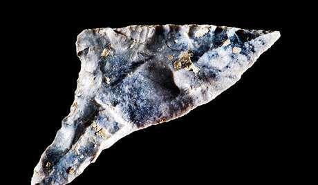 Oblique arrowhead Oblique arrowhead