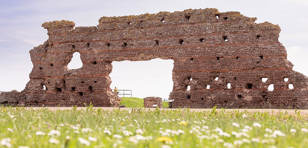 The Old Work - the surviving brick wall from the bath complex at Wroxeter Roman City stands in full view behind the grass.