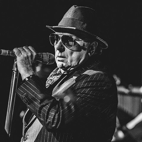 van morrison audley end