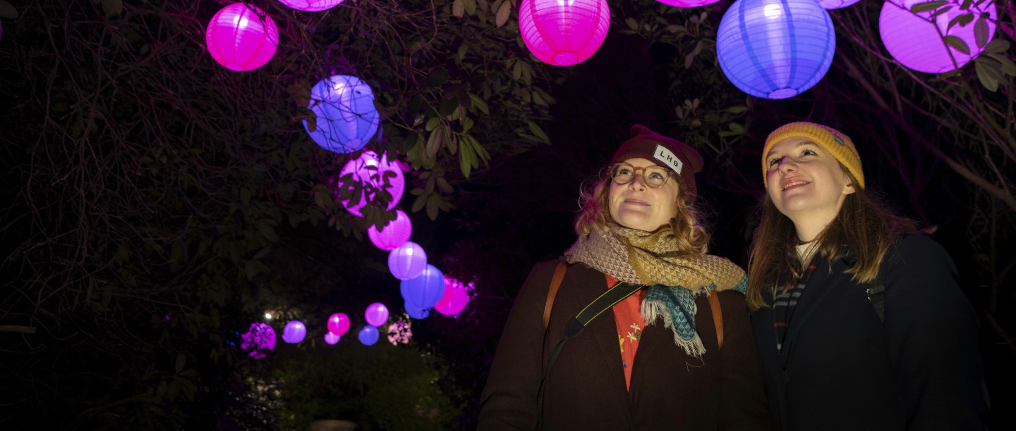Photo of two people looking at coloured lamps in the dark