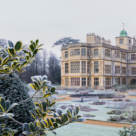 A grand historic mansion with tall chimneys and large windows, surrounded by formal gardens lightly dusted with frost. The foreground shows frosted evergreen leaves, and bare trees stand in the background under an overcast winter sky