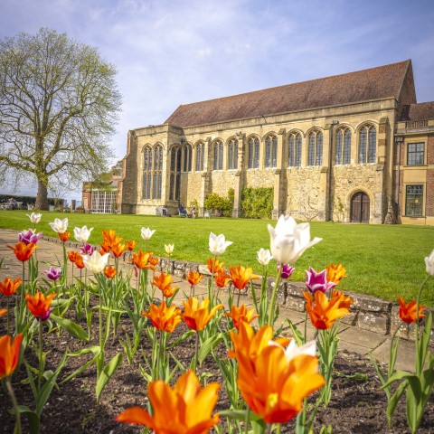 Colourful flowers bloom in the grounds at Eltham Palace on a sunny day
