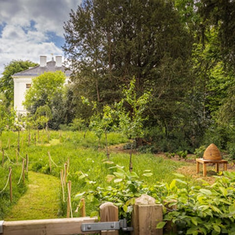The gardens at Marble Hill, with view of a wooden gate in the foreground, and Marble Hill House surrounded by greenery in the background.