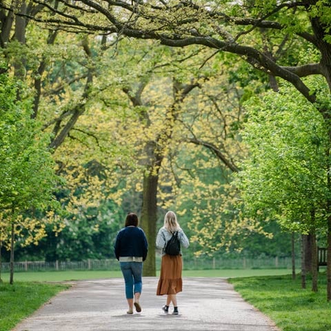 Two women walk side by side on a path surrounded by large trees and greenery.