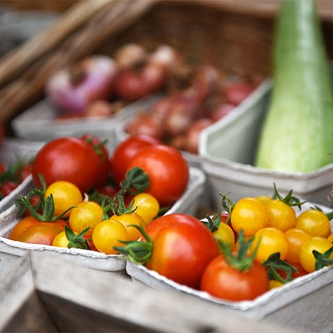 Some red and yellow tomatoes in a tray