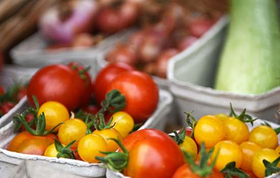 Some red and yellow tomatoes in a tray Some red and yellow tomatoes in a tray