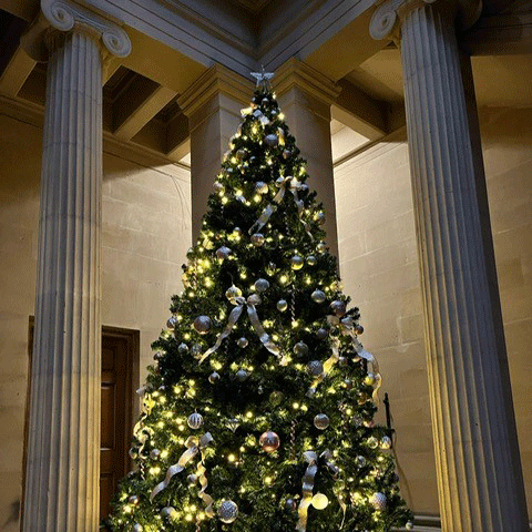 A large decroated Christmas tree with fairy lights and baubles stands in a large hall with colums. and 