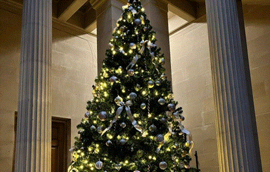 A large decorated Christmas tree with fairy lights and baubles stands in a large hall with columns A large decorated Christmas tree with fairy lights and baubles stands in a large hall with columns