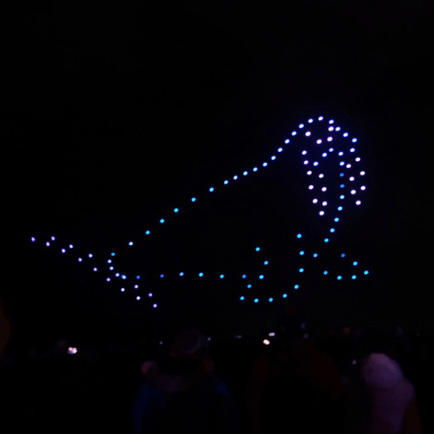 A colourful light drone display in the shape of a sea lion at night.