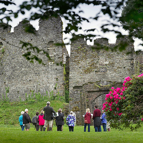 A group of people are gathered in the grounds listening to a speaker. They are surrounded by plants and greenery.