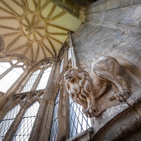 Looking up at carved stone lion beneath the ceiling of the Great Hall at Gainsborough Old Hall.