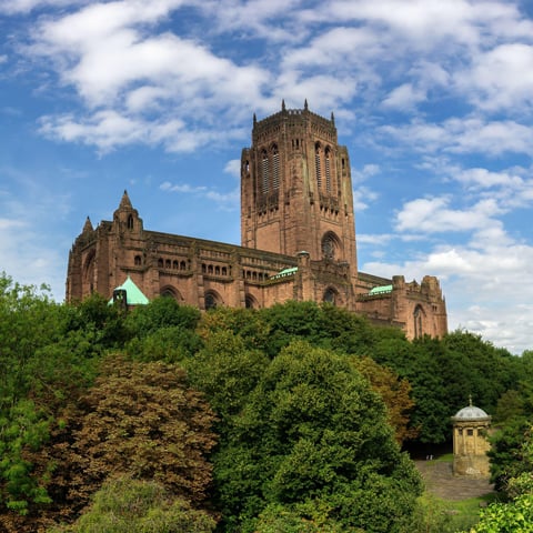 A low angle view of the Anglican Cathedral in Liverpool surrounded by trees and greenery.