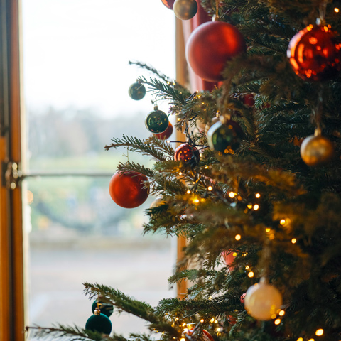 A close up of a decorated Christmas tree by a window.