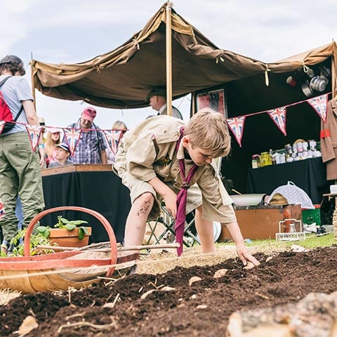 A boy plants potatoes in soil
