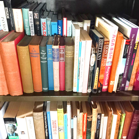 A view of a full bookshelf.