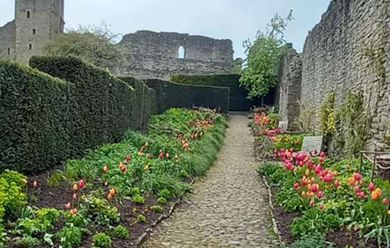 Evening Garden Tour at Mount Grace Priory, House and Gardens